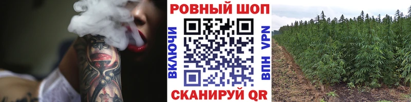 Цена Грайворон Кокаин  A PVP  ГАШ  Мефедрон 