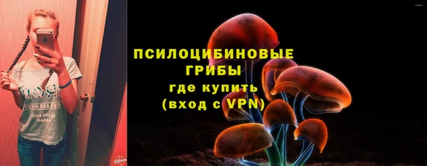 молекула духа Верхнеуральск