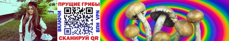 Галлюциногенные грибы MAGIC MUSHROOMS  Грайворон 